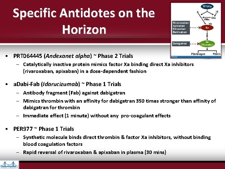 Specific Antidotes on the Horizon • PRT 064445 (Andexanet alpha) ~ Phase 2 Trials Specific Antidotes on the Horizon • PRT 064445 (Andexanet alpha) ~ Phase 2 Trials