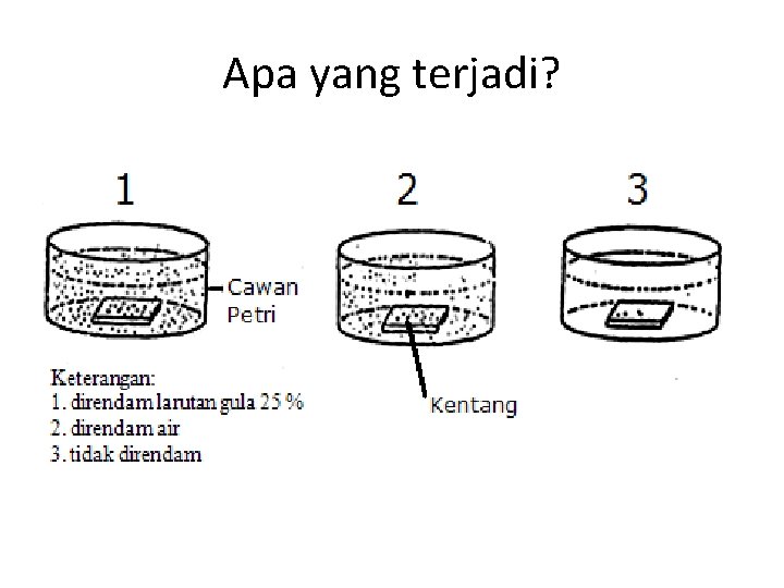 Apa yang terjadi? 