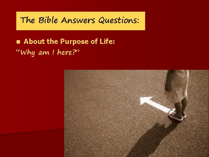 The Bible Answers Questions: n About the Purpose of Life: “Why am I here?