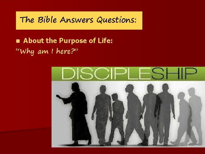 The Bible Answers Questions: n About the Purpose of Life: “Why am I here?