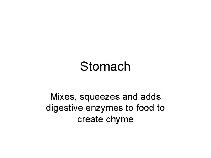 Stomach Mixes, squeezes and adds digestive enzymes to food to create chyme 