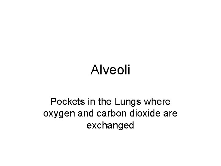 Alveoli Pockets in the Lungs where oxygen and carbon dioxide are exchanged 