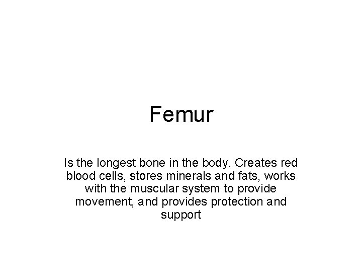 Femur Is the longest bone in the body. Creates red blood cells, stores minerals