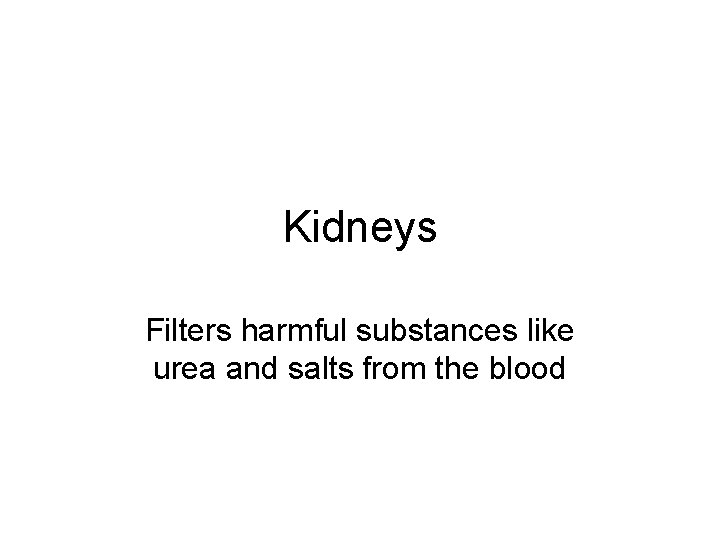 Kidneys Filters harmful substances like urea and salts from the blood 