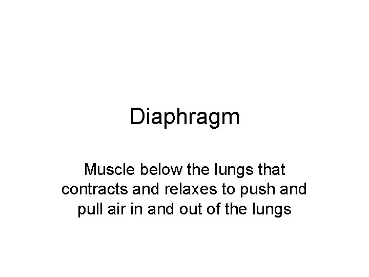 Diaphragm Muscle below the lungs that contracts and relaxes to push and pull air