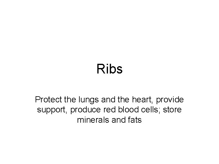 Ribs Protect the lungs and the heart, provide support, produce red blood cells; store