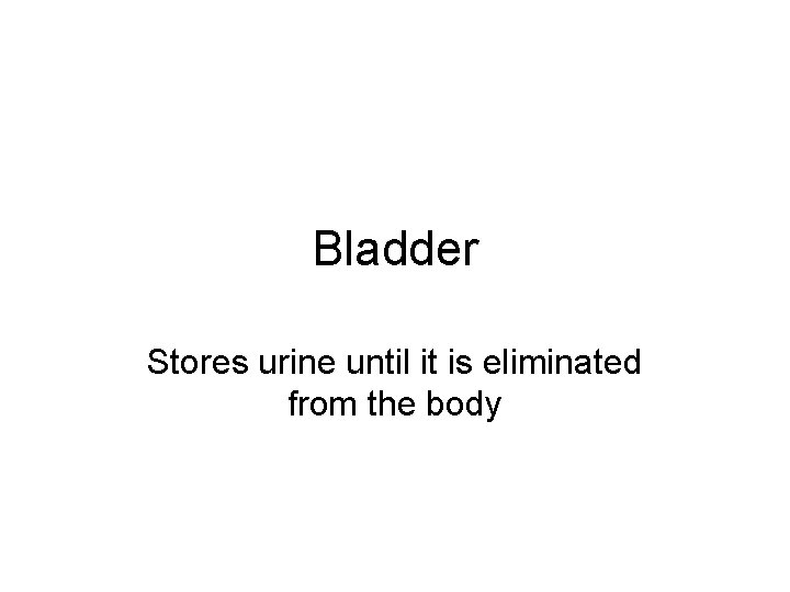 Bladder Stores urine until it is eliminated from the body 