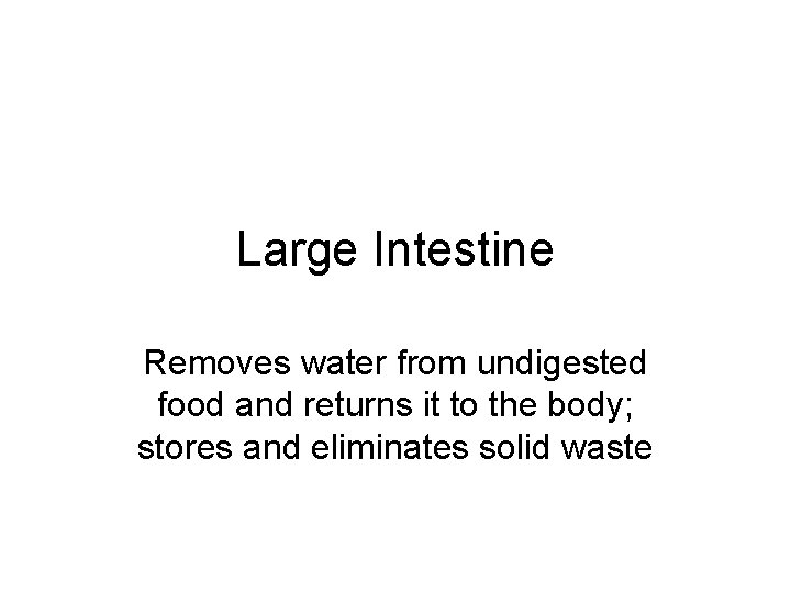 Large Intestine Removes water from undigested food and returns it to the body; stores