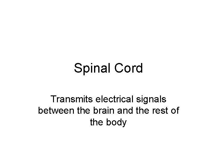 Spinal Cord Transmits electrical signals between the brain and the rest of the body