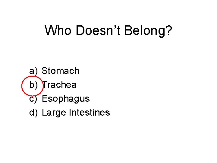 Who Doesn’t Belong? a) b) c) d) Stomach Trachea Esophagus Large Intestines 