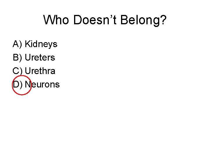 Who Doesn’t Belong? A) Kidneys B) Ureters C) Urethra D) Neurons 