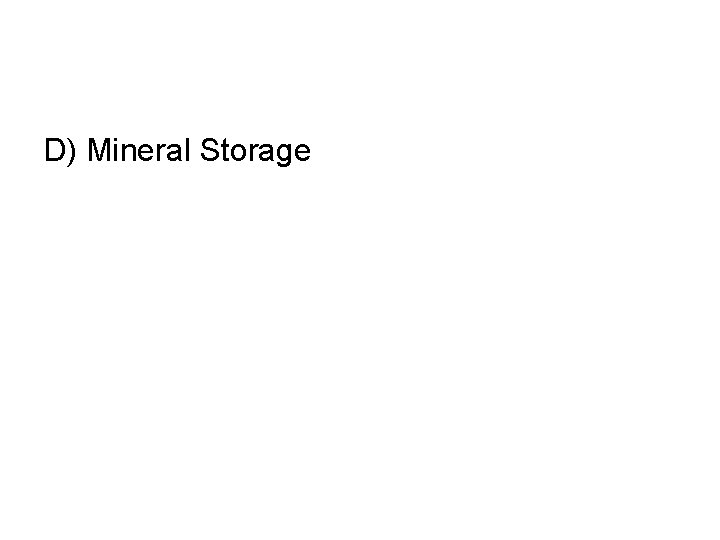 D) Mineral Storage 