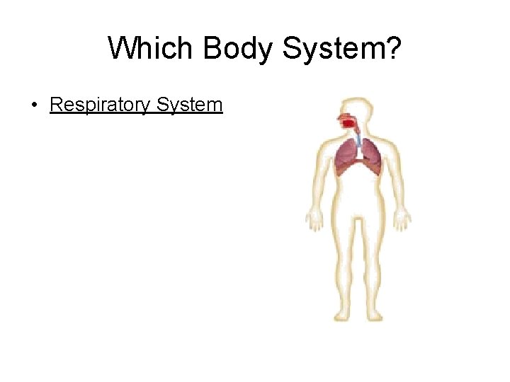 Which Body System? • Respiratory System 