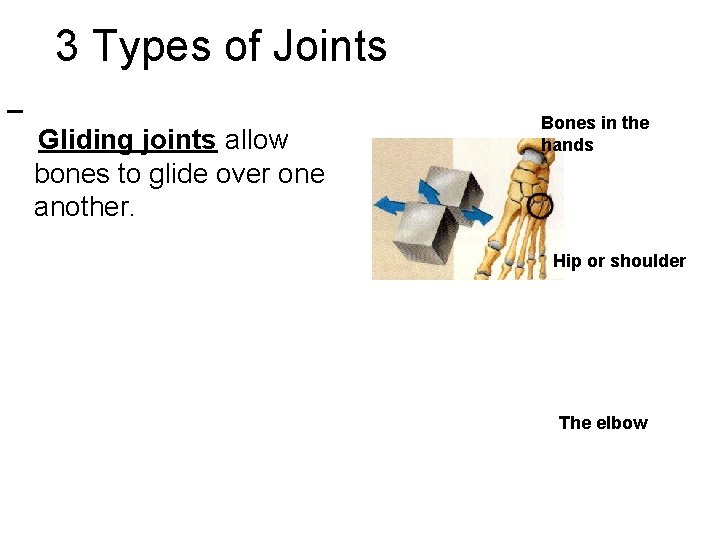 3 Types of Joints Gliding joints allow bones to glide over one another. Bones