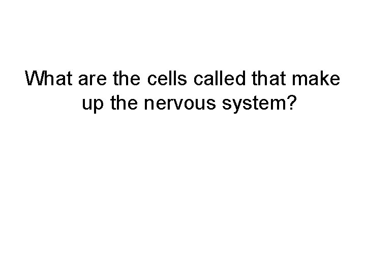 What are the cells called that make up the nervous system? 