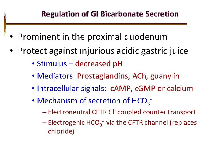 Regulation of GI Bicarbonate Secretion • Prominent in the proximal duodenum • Protect against