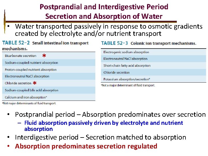 Postprandial and Interdigestive Period Secretion and Absorption of Water • Water transported passively in