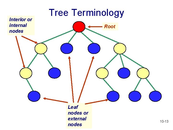Interior or internal nodes Tree Terminology Root Leaf nodes or external nodes 10 -13 Interior or internal nodes Tree Terminology Root Leaf nodes or external nodes 10 -13