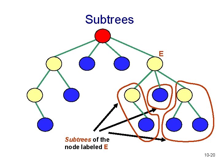 Subtrees E Subtrees of the node labeled E 10 -20 Subtrees E Subtrees of the node labeled E 10 -20