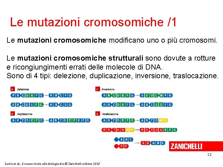 Le mutazioni cromosomiche /1 Le mutazioni cromosomiche modificano uno o più cromosomi. Le mutazioni
