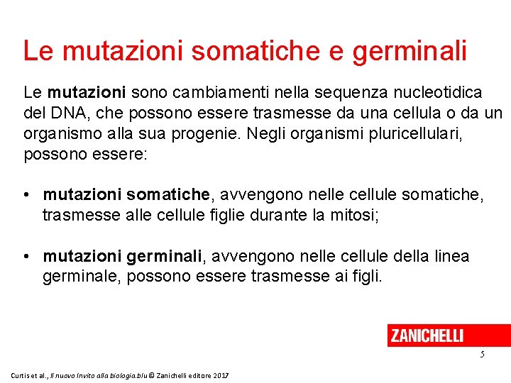 Le mutazioni somatiche e germinali Le mutazioni sono cambiamenti nella sequenza nucleotidica del DNA,