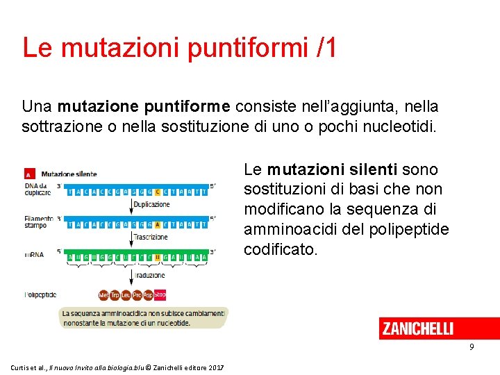 Le mutazioni puntiformi /1 Una mutazione puntiforme consiste nell’aggiunta, nella sottrazione o nella sostituzione