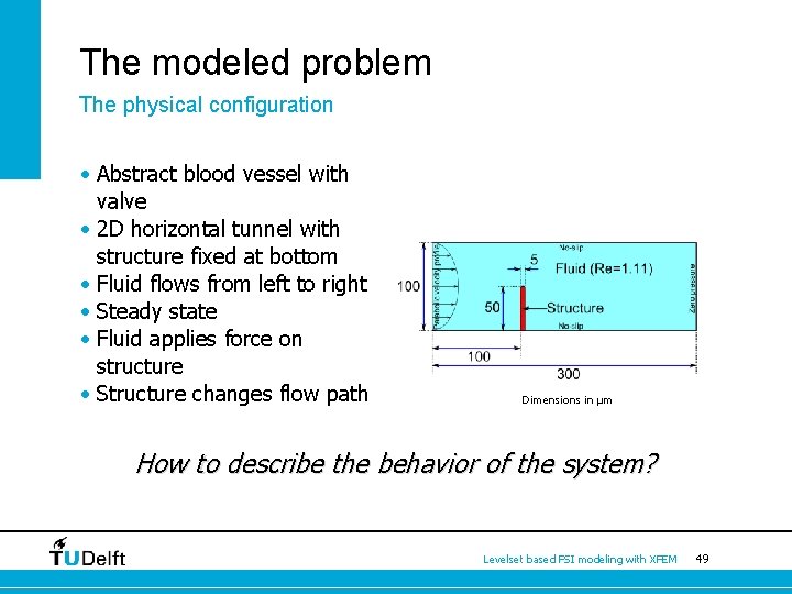 The modeled problem The physical configuration • Abstract blood vessel with valve • 2