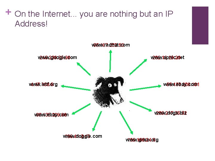 + On the Internet. . . you are nothing but an IP Address! www.