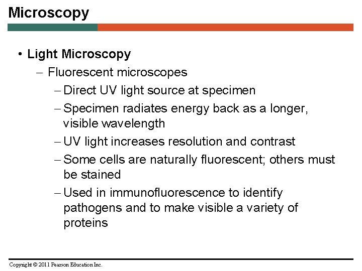 Microscopy • Light Microscopy – Fluorescent microscopes – Direct UV light source at specimen