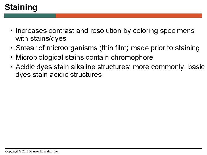 Staining • Increases contrast and resolution by coloring specimens with stains/dyes • Smear of