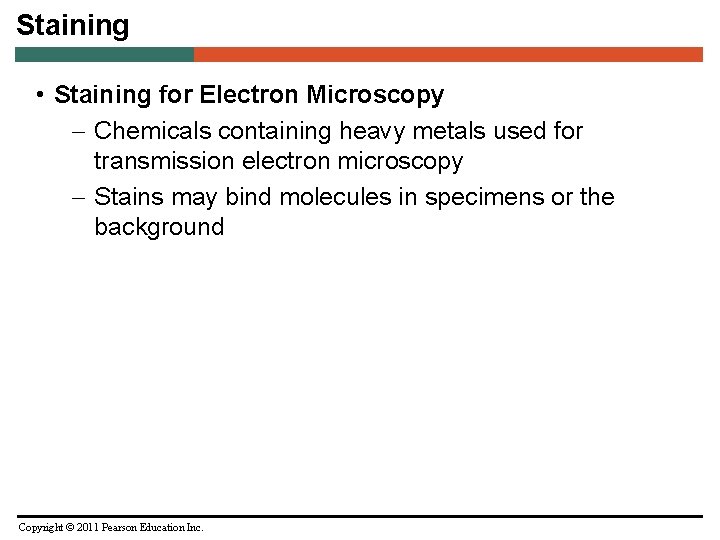 Staining • Staining for Electron Microscopy – Chemicals containing heavy metals used for transmission
