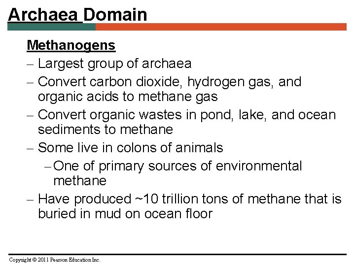 Archaea Domain Methanogens – Largest group of archaea – Convert carbon dioxide, hydrogen gas,