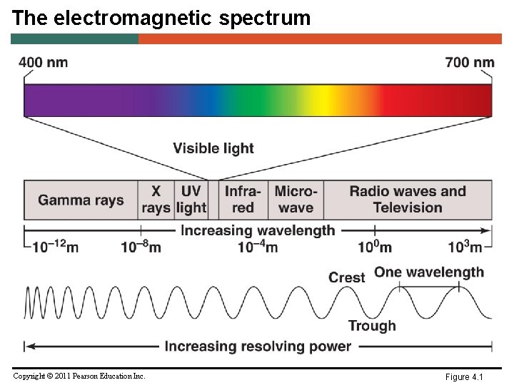 The electromagnetic spectrum Copyright © 2011 Pearson Education Inc. Figure 4. 1 