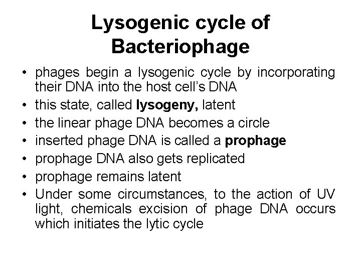 Lysogenic cycle of Bacteriophage • phages begin a lysogenic cycle by incorporating their DNA