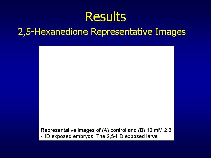 Results 2, 5 -Hexanedione Representative Images Representative images of (A) control and (B) 10