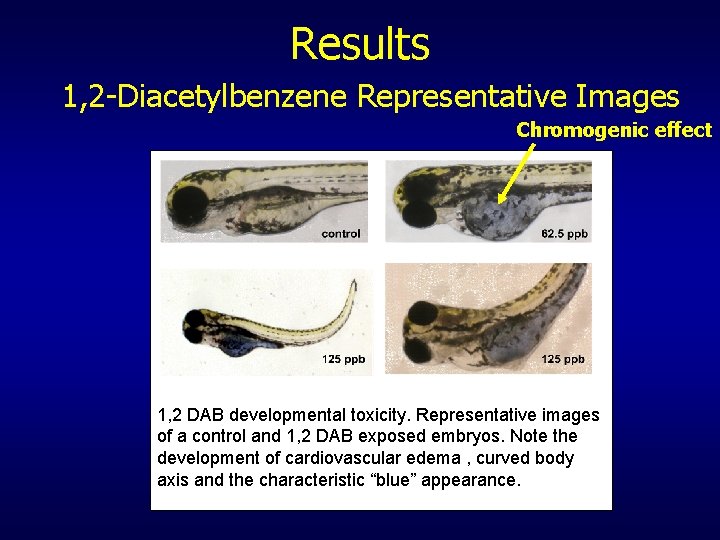 Results 1, 2 -Diacetylbenzene Representative Images Chromogenic effect 1, 2 DAB developmental toxicity. Representative