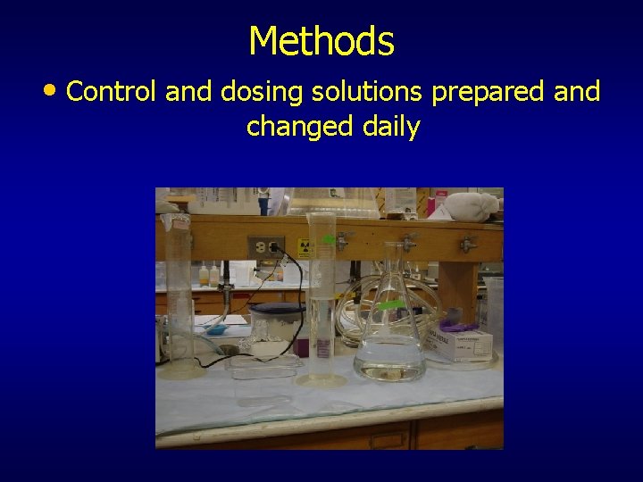 Methods • Control and dosing solutions prepared and changed daily 