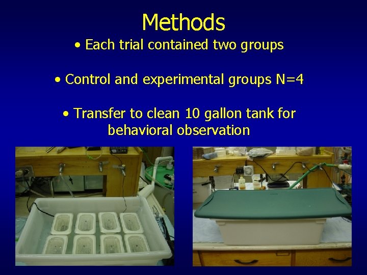 Methods • Each trial contained two groups • Control and experimental groups N=4 •