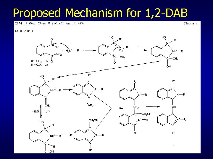 Proposed Mechanism for 1, 2 -DAB 