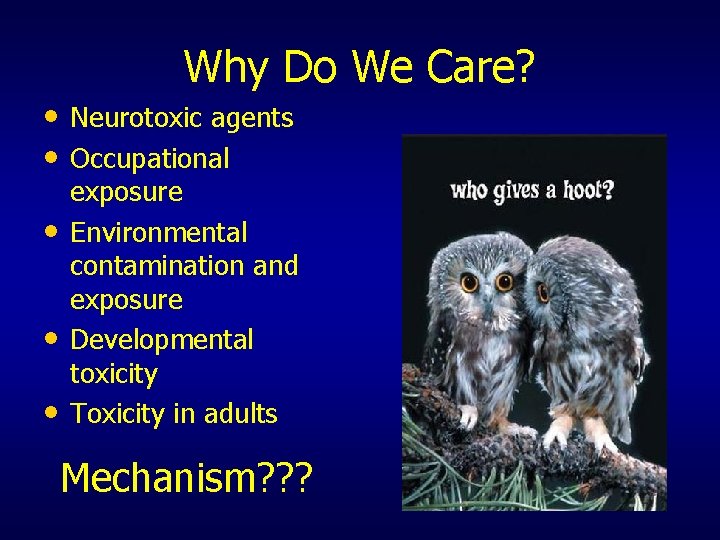 Why Do We Care? • Neurotoxic agents • Occupational • • • exposure Environmental