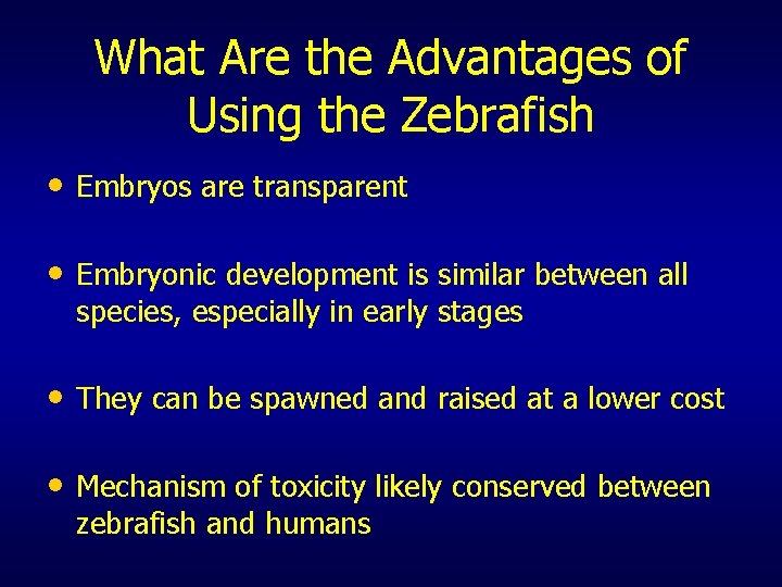 What Are the Advantages of Using the Zebrafish • Embryos are transparent • Embryonic