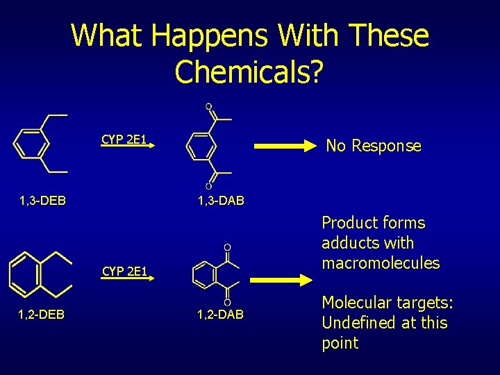 What Happens With These Chemicals? CYP 2 E 1 1, 3 -DEB No Response