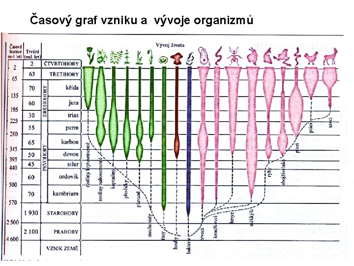 Časový graf vzniku a vývoje organizmů 