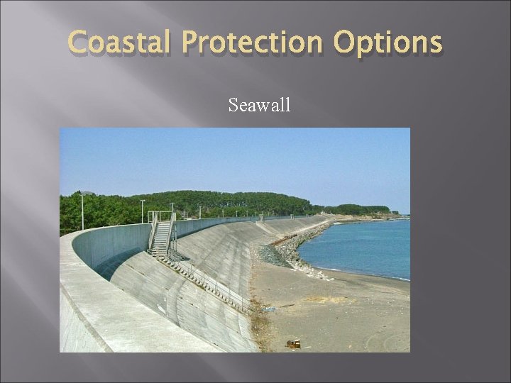 Coastal Protection Options Seawall 