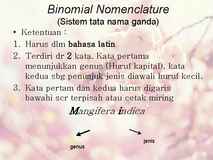 Binomial Nomenclature (Sistem tata nama ganda) • Ketentuan : 1. Harus dlm bahasa latin