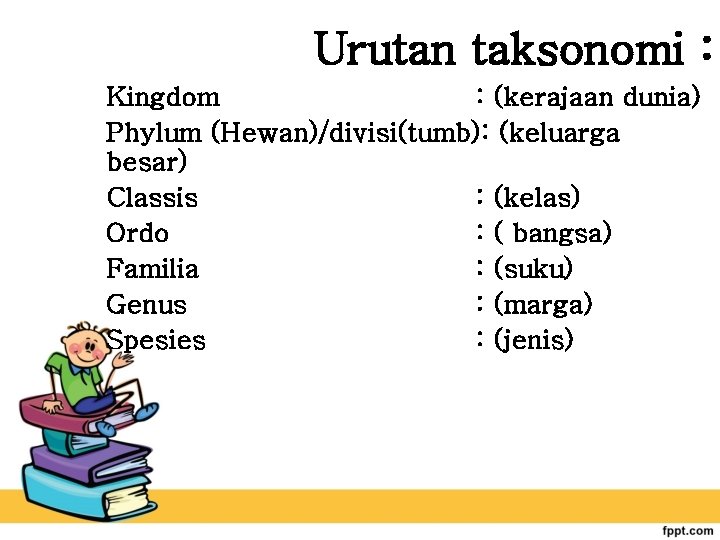 Urutan taksonomi : Kingdom : (kerajaan dunia) Phylum (Hewan)/divisi(tumb): (keluarga besar) Classis : (kelas)