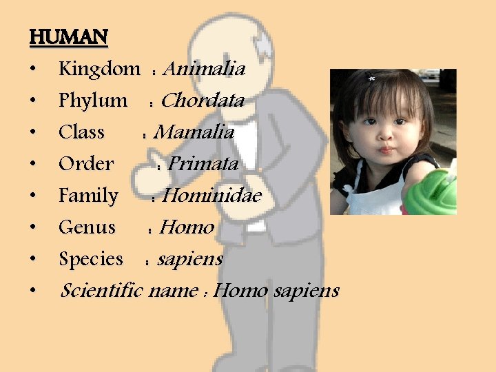 HUMAN • Kingdom : Animalia • Phylum : Chordata • Class : Mamalia •