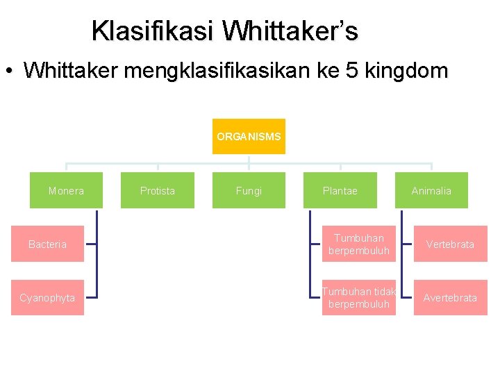 Klasifikasi Whittaker’s • Whittaker mengklasifikasikan ke 5 kingdom ORGANISMS Monera Protista Fungi Plantae Animalia