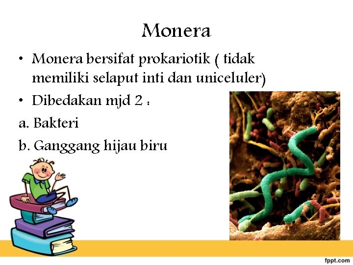 Monera • Monera bersifat prokariotik ( tidak memiliki selaput inti dan uniceluler) • Dibedakan