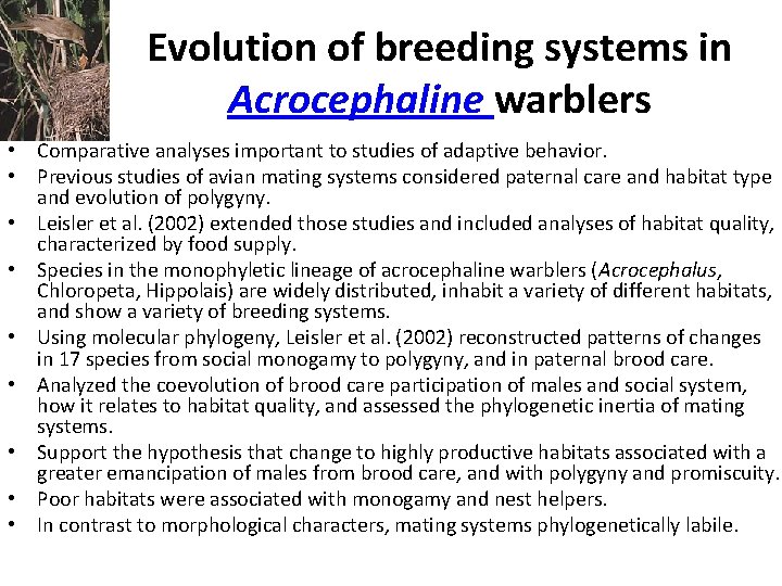 Evolution of breeding systems in Acrocephaline warblers • Comparative analyses important to studies of